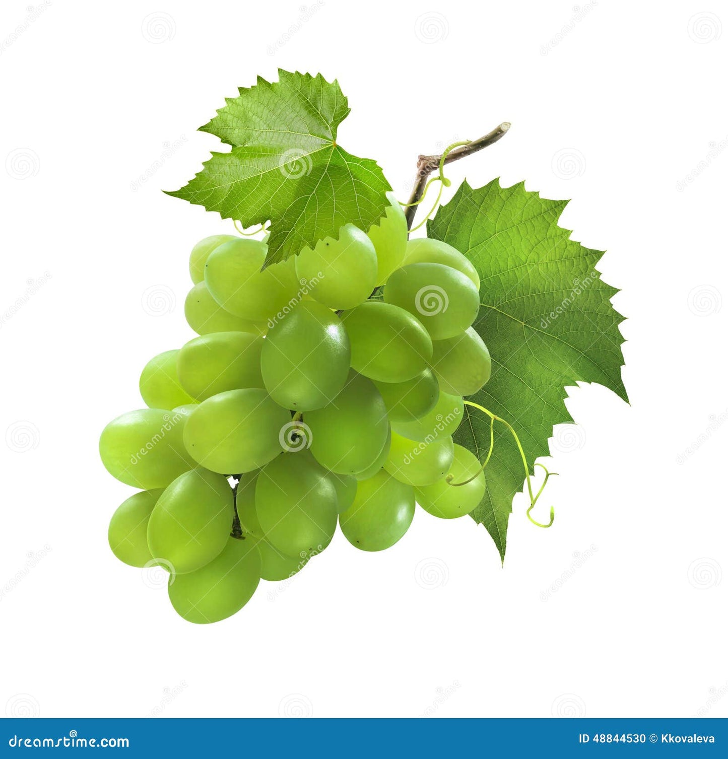 Raisins décoratifs