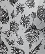 Napperons en papier Fern Silver (8 paquets)