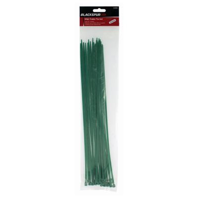 BLACKSPUR LOT DE 30 SERRE-CÂBLES - 38,1 CM X 4,8 MM - VERT