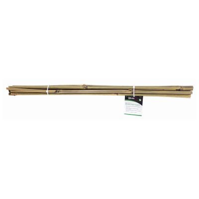 BLACKSPUR SUPPORT POUR PLANTES EN BAMBOU 10 PIÈCES DE 60 CM