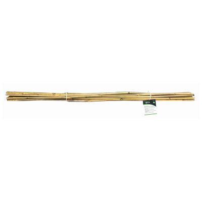 BLACKSPUR 10PC 150CM BAMBOO PLANT SUPPORT