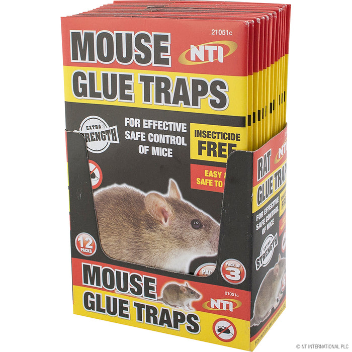 3pc Mouse Glue Traps in Convenient Display Box