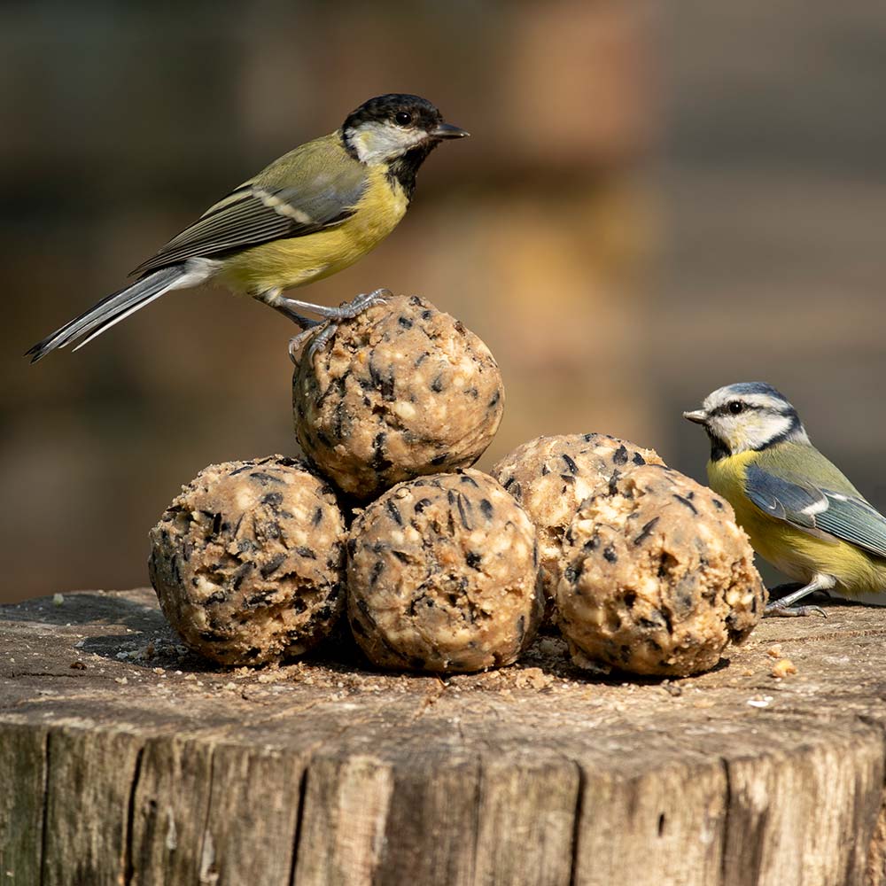 FAT (SUET) BALLS 6pk wild bird food