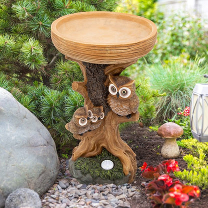 Bain d'oiseaux hibou avec lumière solaire