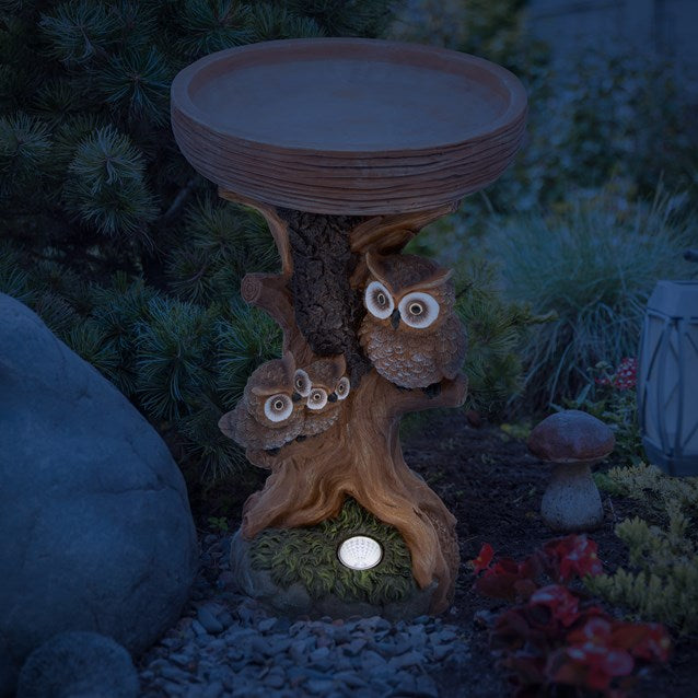 Bain d'oiseaux hibou avec lumière solaire