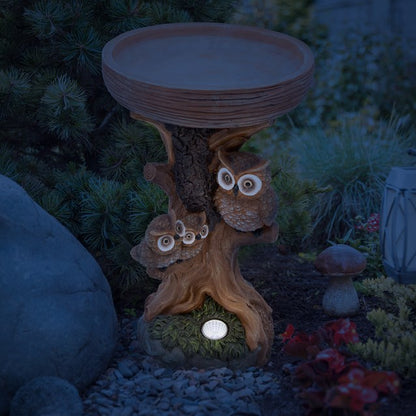 Bain d'oiseaux hibou avec lumière solaire