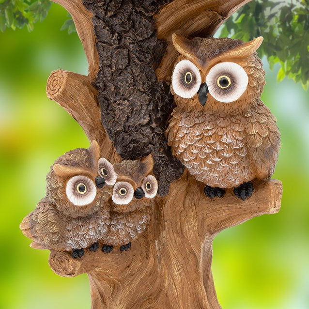 Bain d'oiseaux hibou avec lumière solaire