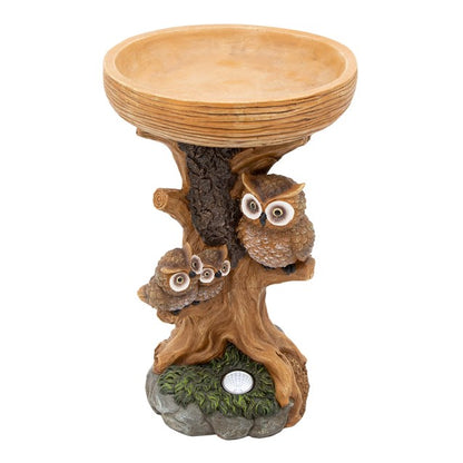 Bain d'oiseaux hibou avec lumière solaire