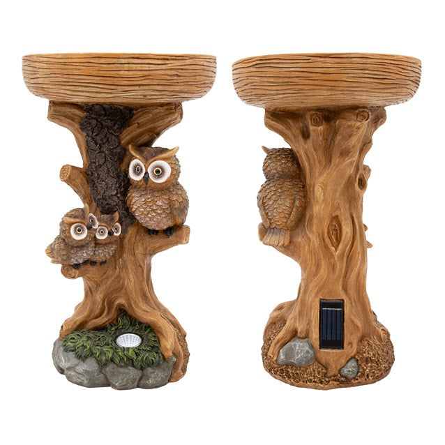 Bain d'oiseaux hibou avec lumière solaire