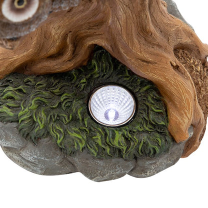 Bain d'oiseaux hibou avec lumière solaire