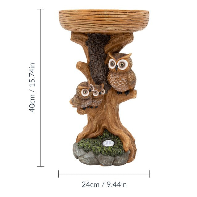 Bain d'oiseaux hibou avec lumière solaire