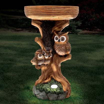 Bain d'oiseaux hibou avec lumière solaire