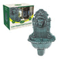 Lion Head Water Feature - Bird Bath & Fountain