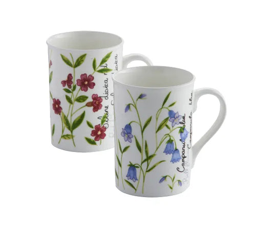 Sublimez votre rituel du thé avec nos Mugs en Porcelaine Fine Assortiment Botanique | Capacité 30cl.