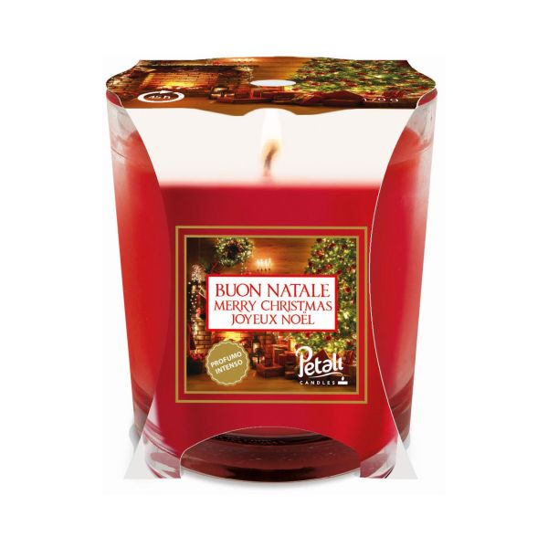 Petali Joyeux Noël Pot Moyen Décor Festif pour les Fêtes