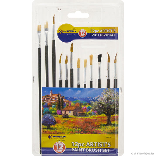 Explore Your Creativity with our 12pc Artist Paint Brush Set - Premium Quality Brushes for Painting and Art Projects