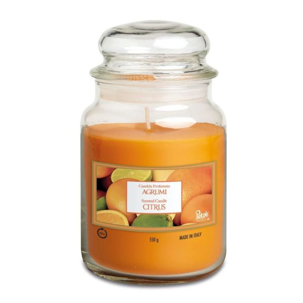 Petali Agrumes Grande Jarre Délice d'Agrumes Parfumé pour Votre Intérieur
