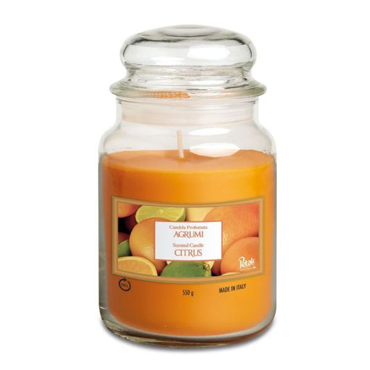 Petali Citrus Large Jar Fragrant Citrus Delight for Your Home
