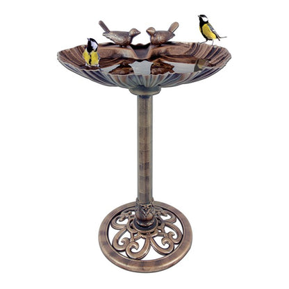 Bain d'oiseaux coquille de palourde avec des pierres