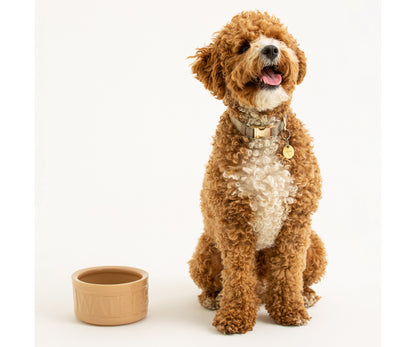 Gamelle d'eau pour chien Cane Lettered 15cm : Accessoires pour animaux de compagnie élégants et fonctionnels.