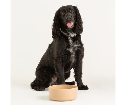 Stylish Cane Pet Bowl 15cm - Upgrade Your Pet's Dining Experience.
