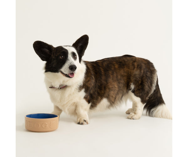 Gamelle en canne élégante et lettrée bleue 15 cm | Découvrez la solution d'alimentation parfaite pour votre animal.