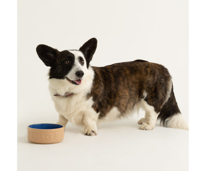 Gamelle en canne élégante et lettrée bleue 15 cm | Découvrez la solution d'alimentation parfaite pour votre animal.