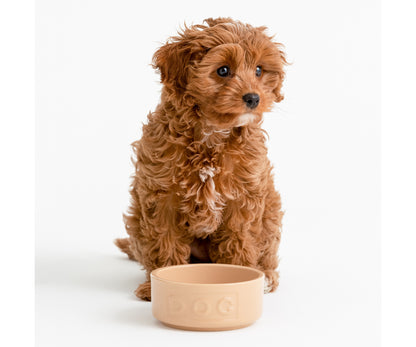 La gamelle pour chien «Stylish Cane Lettered» – 13 cm | Accessoires parfaits pour animaux de compagnie.