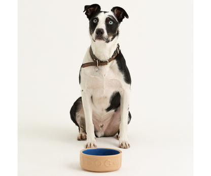 Gamelle pour Chien Lettres Bleues & Rotin 18cm - Solution d'Alimentation Élégante pour Animaux.