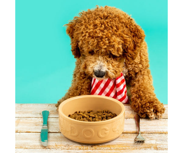 Gamelle pour chien Mason Cash Cane Lettered 15 cm