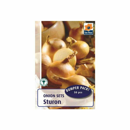 Lots de 50 bulbilles d'oignon De Ree Sturon