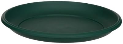 29CM MILANO SAUCER F GREEN