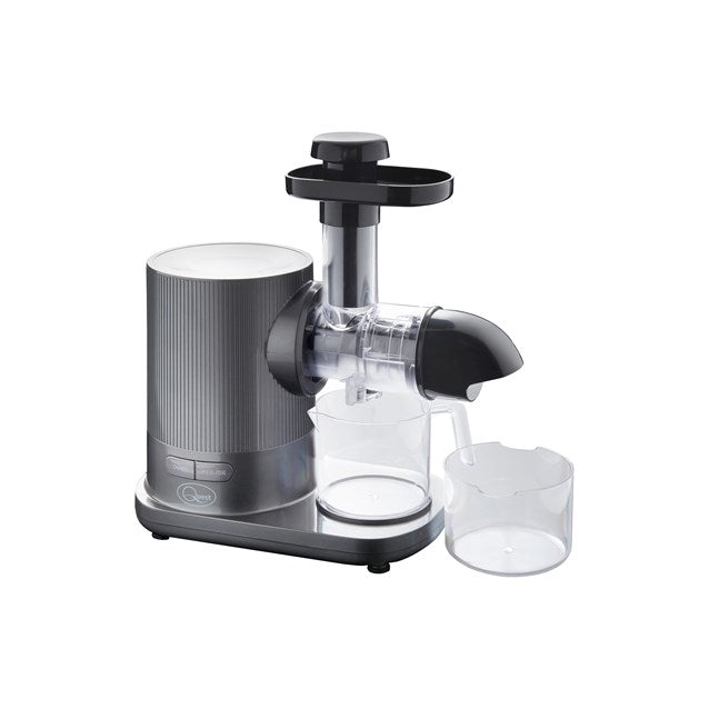 Slow Masticating Juicer Grey