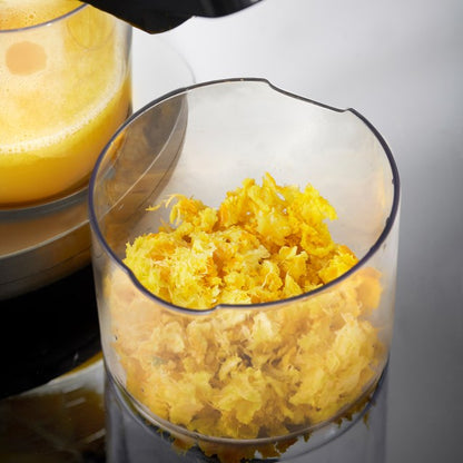 Slow Masticating Juicer Grey