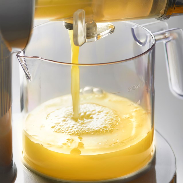 Slow Masticating Juicer Grey