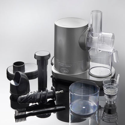 Slow Masticating Juicer Grey