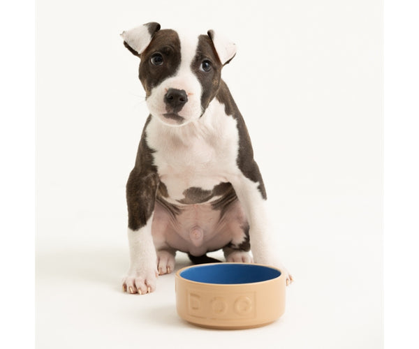Gamelle pour chien Cane & Blue avec lettres, 13 cm : Une solution élégante et fonctionnelle pour l'alimentation de votre animal.