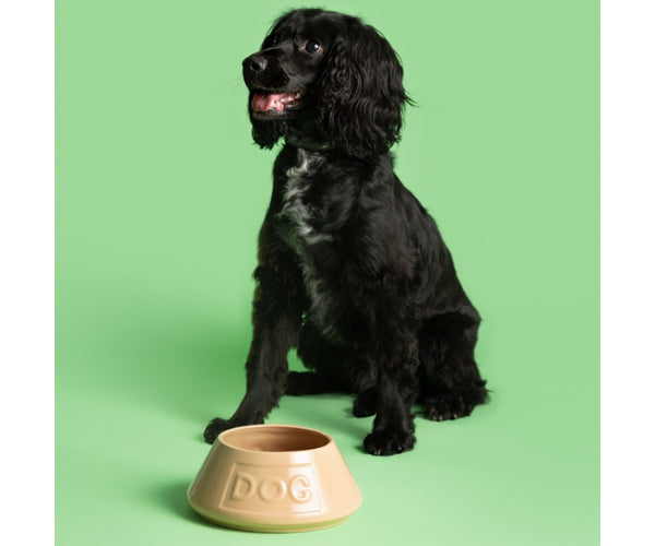 Gamelle en céramique anti-basculement Cane pour chien, 21 cm - Une solution d'alimentation robuste et élégante pour animaux de compagnie.