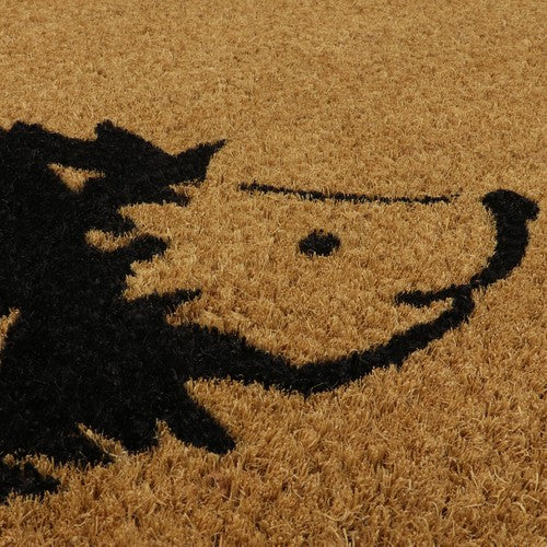 Paillasson Hérisson en Coco avec envers en Latex - 45x75cm | Tapis d'entrée durable.