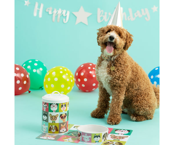 Pawtrait Dog Storage - Keep Your Pup's Essentials Neatly Organized.