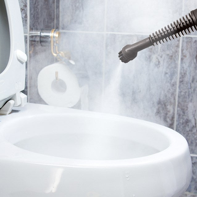 Handheld Steam Cleaner - 350ml - Green