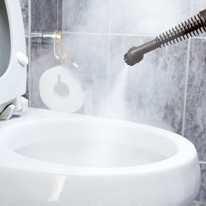 Handheld Steam Cleaner - 350ml - Green