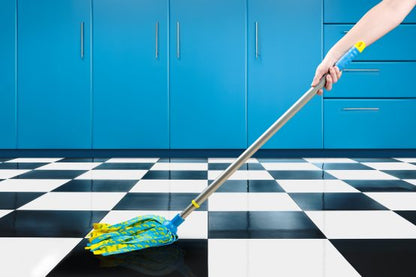 FLASH Lightning Mop with Fixed Handle