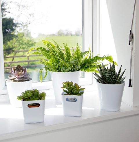 Studio 16cm Round Planter Cover Ice White