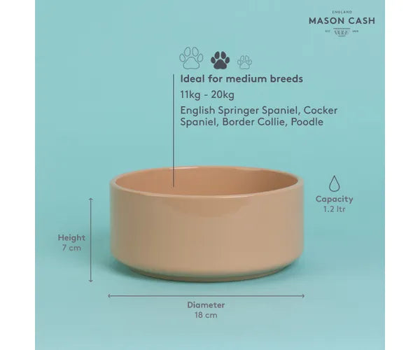 La gamelle élégante pour animaux de compagnie en canne 18 cm - Améliorez l'expérience culinaire de votre animal.