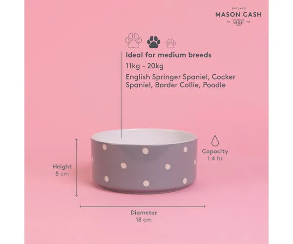 Jolie gamelle grise à pois de 18 cm pour chien | Trouvez la solution parfaite pour nourrir votre animal.