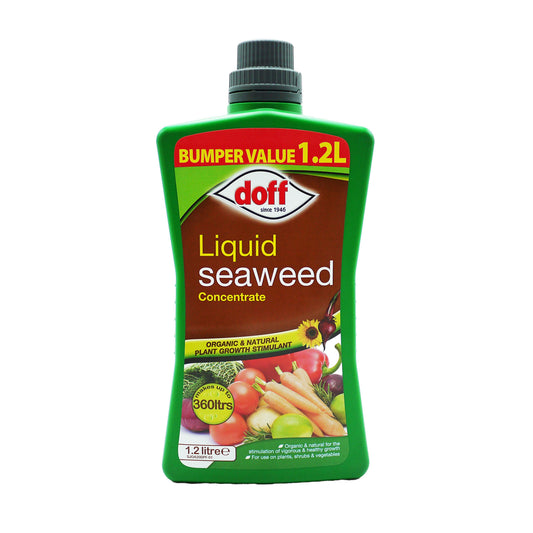 508484 CONCENTRÉ D'ALGUES LIQUIDES DOFF - EXCELLENT RAPPORT QUALITÉ/PRIX 1,2 L