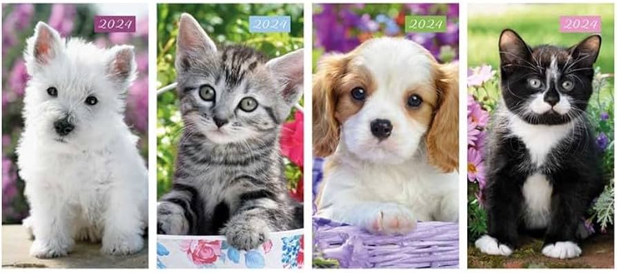 SLIM WEEK TO VIEW PHOTOGRAPHIC KITTEN & PUPPY DIARY 2024