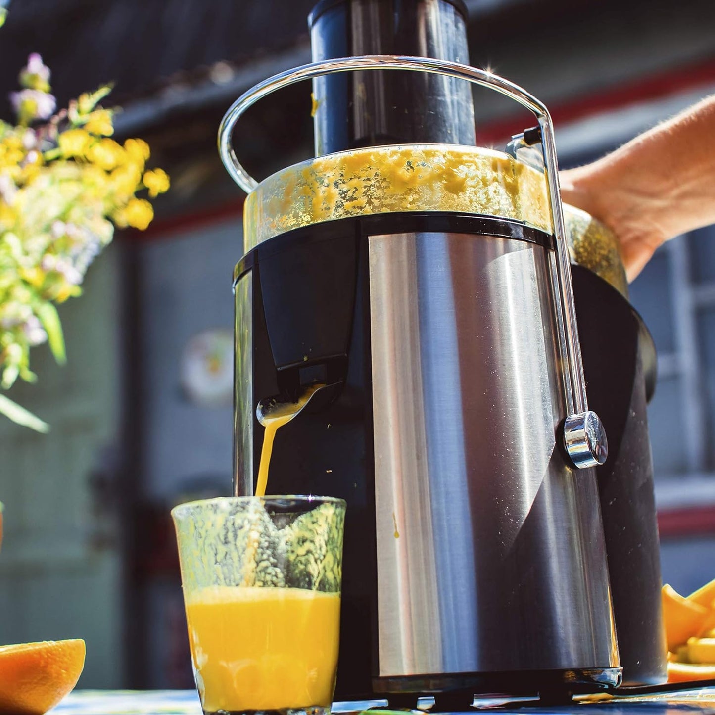 Extracteur de jus de fruits et légumes 850 W Health Kick
