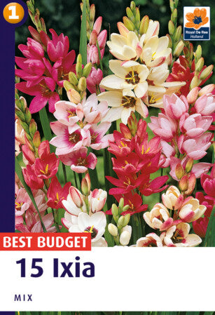 De Ree Ixia mix